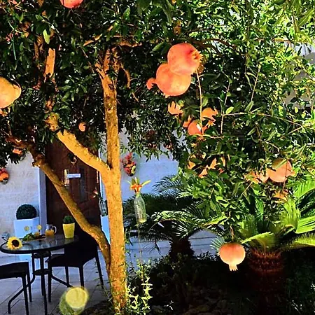 Profumo Di Mare 3* Gallipoli