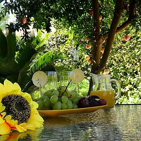 Alojamento de Acomodação e Pequeno-almoço Profumo Di Mare Gallipoli